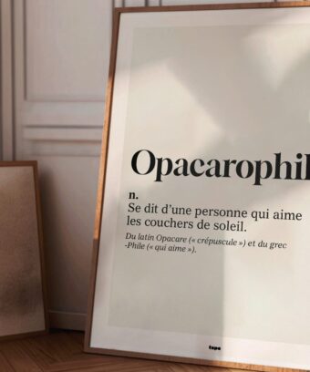 studio topo Definition Opacarophile