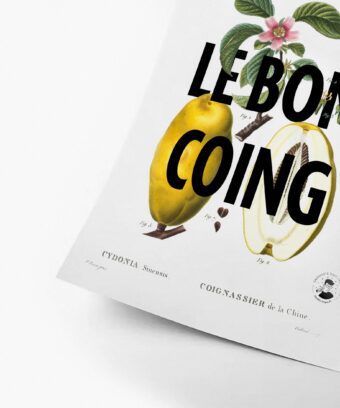 Le bon coing affiche studio topo botanique