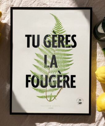 affiche tu geres la fougere