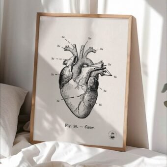 affiche Anatomie de mon cœur