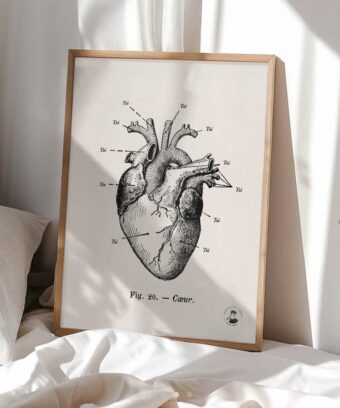 affiche Anatomie de mon cœur