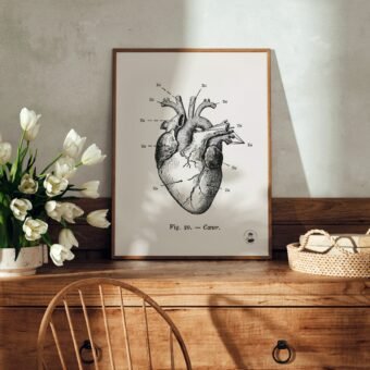 affiche Anatomie de mon cœur