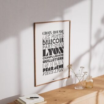 affiche des quartiers de lyon studio topo
