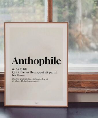 studio topo Definition Anthophile studio topo Definition Anthophile