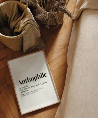 studio topo Definition Anthophile studio topo Definition Anthophile