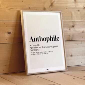 studio topo Definition Anthophile