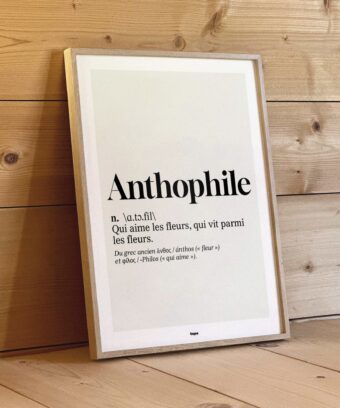 studio topo Definition Anthophile