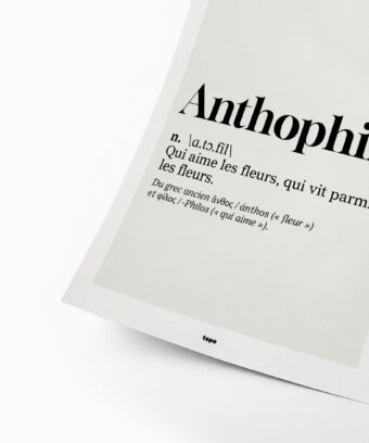 studio topo Definition Anthophile