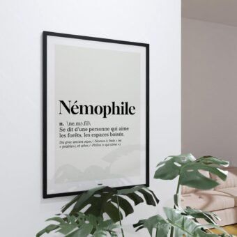 studio topo Definition Nemophile