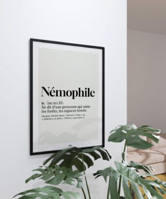 studio topo Definition Nemophile