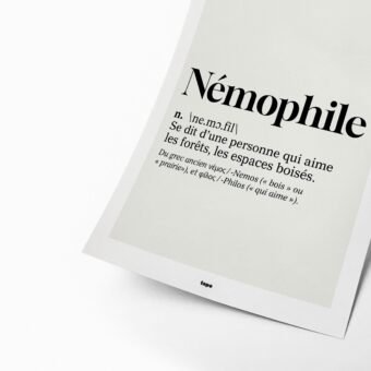 studio topo Definition Nemophile