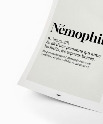 studio topo Definition Nemophile