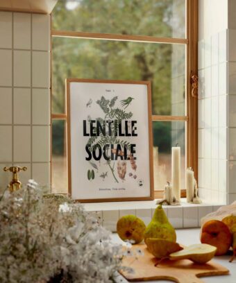 Affiche Lentille Sociale botanique Affiche Lentille Sociale botanique