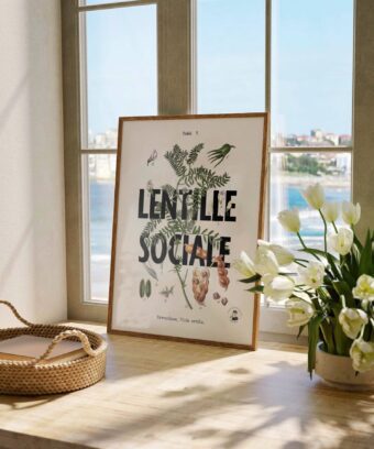 Affiche Lentille Sociale botanique