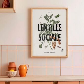 Affiche Lentille Sociale botanique Affiche Lentille Sociale botanique