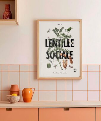Affiche Lentille Sociale botanique Affiche Lentille Sociale botanique