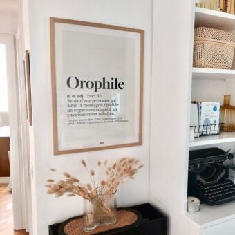 Definition Orophile Definition Orophile