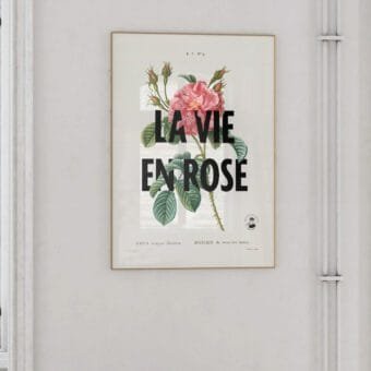 affiche La vie en rose topo une affiche La vie en rose topo une