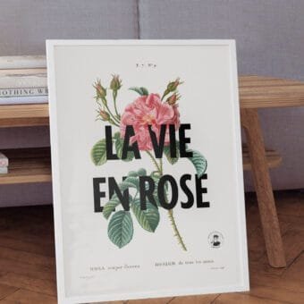 affiche La vie en rose topo une affiche La vie en rose topo une