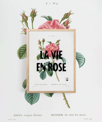 affiche La vie en rose topo une
