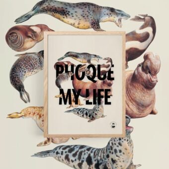 affiche Phoque My Life