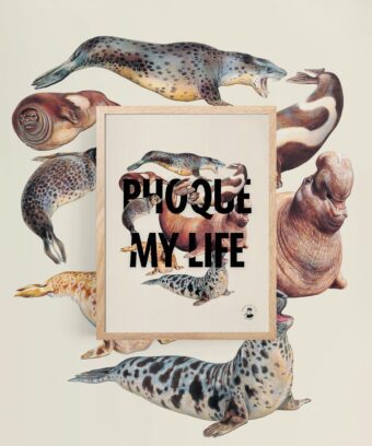 affiche Phoque My Life