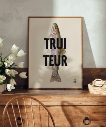 affiche Truiteur