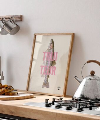 affiche Truiteur