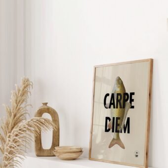 affiche poisson Carpe Diem affiche poisson Carpe Diem