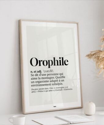studio topo Definition Orophile