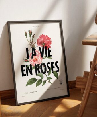 affiche La vie en rose topo deux