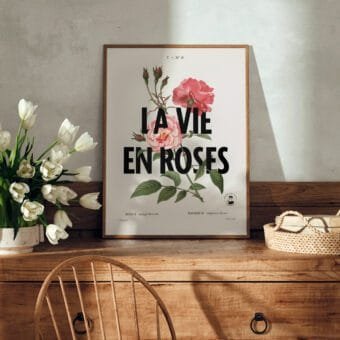 affiche La vie en rose topo deux affiche La vie en rose topo deux