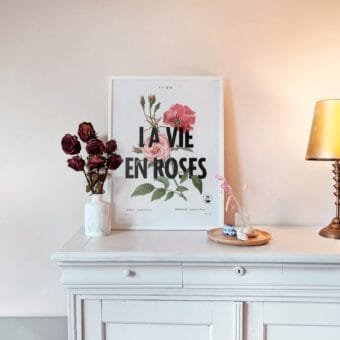 affiche La vie en rose topo deux affiche La vie en rose topo deux