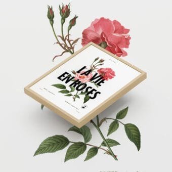affiche La vie en rose topo deux affiche La vie en rose topo deux