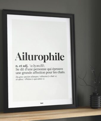 Definition ailurophile affiche