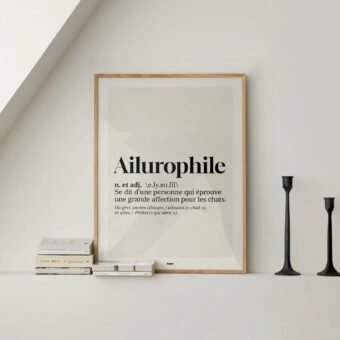 Definition ailurophile affiche