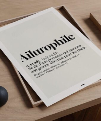 Definition ailurophile affiche