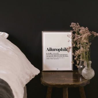 Definition ailurophile affiche