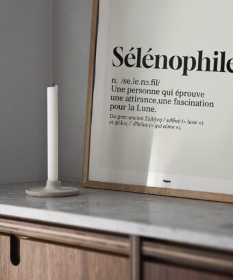 Definition selenophile affiche