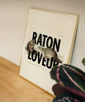 affiche design raton loveur