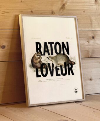 affiche design raton loveur
