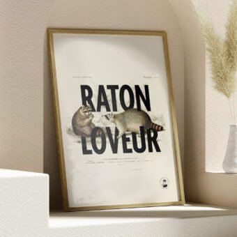 affiche design raton loveur
