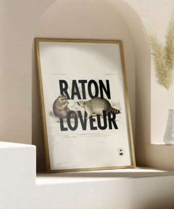 affiche design raton loveur affiche design raton loveur