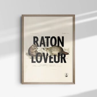 affiche design raton loveur