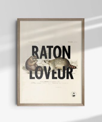 affiche design raton loveur affiche design raton loveur