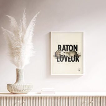 affiche design raton loveur