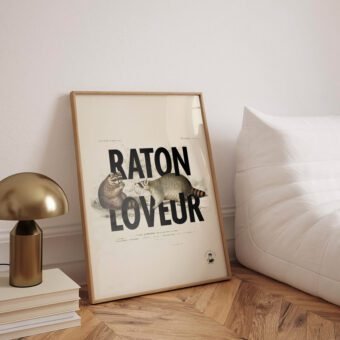 affiche design raton loveur