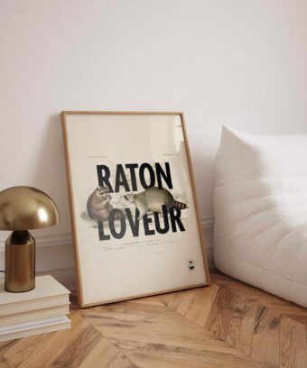 affiche design raton loveur affiche design raton loveur