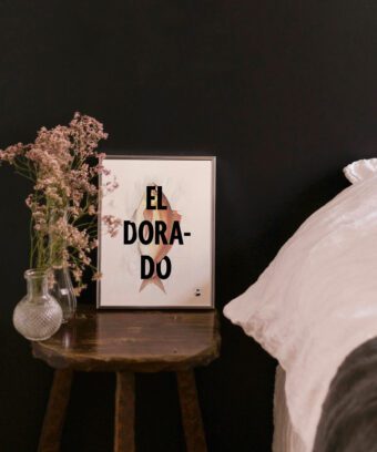 affiche poisson El Dorado humour affiche poisson El Dorado humour