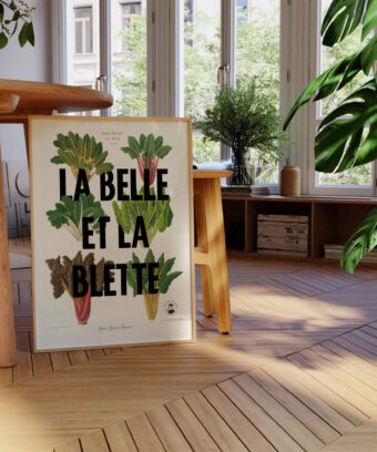 affiche la belle et la blette